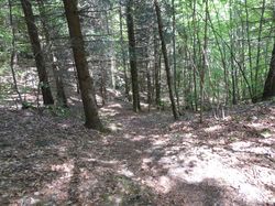 Le Mont Charnaz ( Avant Pays Savoyard )