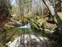 Le Mont ( Chartreuse )