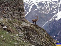 Le mont de Termignon