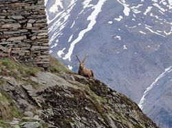 Le mont de Termignon