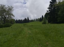 Le Mont grelle en boucle (Jura)