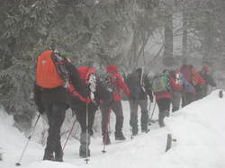 Le Plan de la Limace