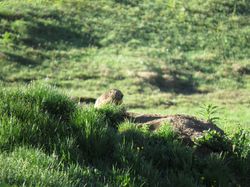Le Prariond ( jour3 )