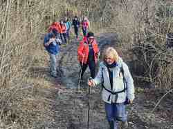 Le sentier des Libellules