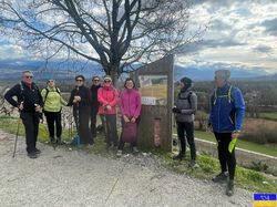 Le vignoble des Bergerons