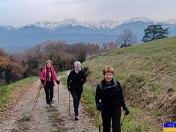 Les Abymes - Bois des Marches
