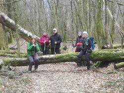 Les balcons de Yenne