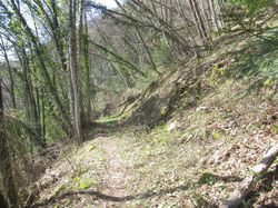 Les blaches Saint Georges