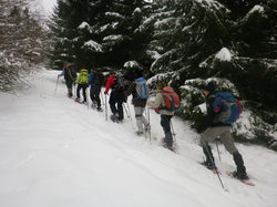 Les Chalets de la Fullie