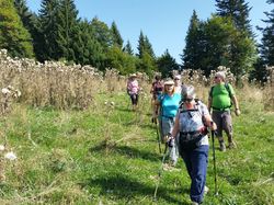Les chalets de la Fullie (Bauges)