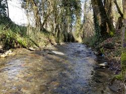 Les collines de l'Albannais