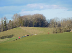 Les collines de l'Albannais