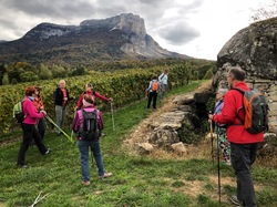 Les Essarts de la Palud