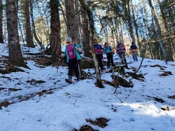 Les Gandys (Chartreuse)