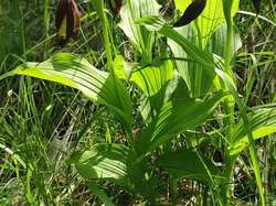Les granges de Joigny