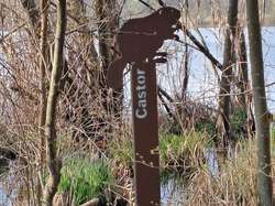 Les hauts de St Hélène