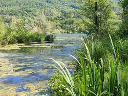 Les hauts de Ste Hélène