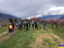 Les lacs de Chateauneuf