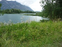 Les lacs de Francin