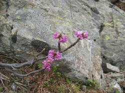 Les Lacs du Vénétier