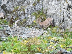 Les lacs Robert - Chamrousse