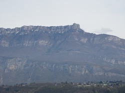 Les marais de la Motte Servolex