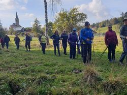 Les marais du Bourget en huile