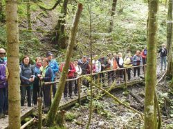 Les marais du Bourget en huile