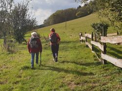 Les marais du Bourget en huile