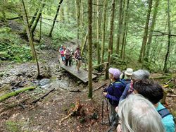 Les marais du Bourget en huile