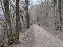Les Marches à St André
