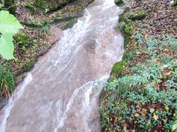 2024.10.16 Les Mollettes