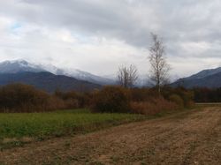 LES MOULINS PAR CAYAN