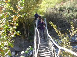 Les moulins par Cayan