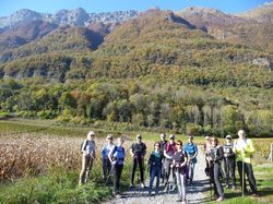 Les moulins par Cayan
