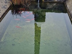Les passerelles de St Jean d'Arvey
