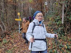 les Tours Montmayeur