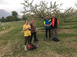 Les vergers de Coise