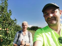 les vergers de Coise