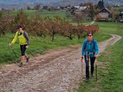 Les vergers de Coise