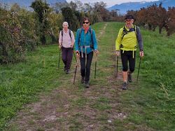 Les vergers de Coise