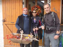 Les vignes Montmélian-Torméry