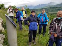 Les vignobles d'Arbin