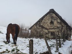 Les vignobles des Abymes