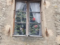 Les vignobles des Abymes