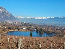 Les vignobles des Marches