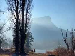 Les vignobles des Marches