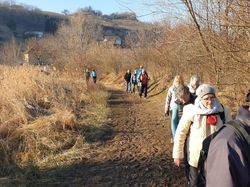 Les vignobles des Marches