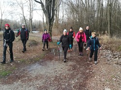 Lônes de Pontcharra