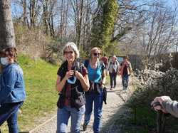 Long du lac du Bourget à la pointe de l'Ardre